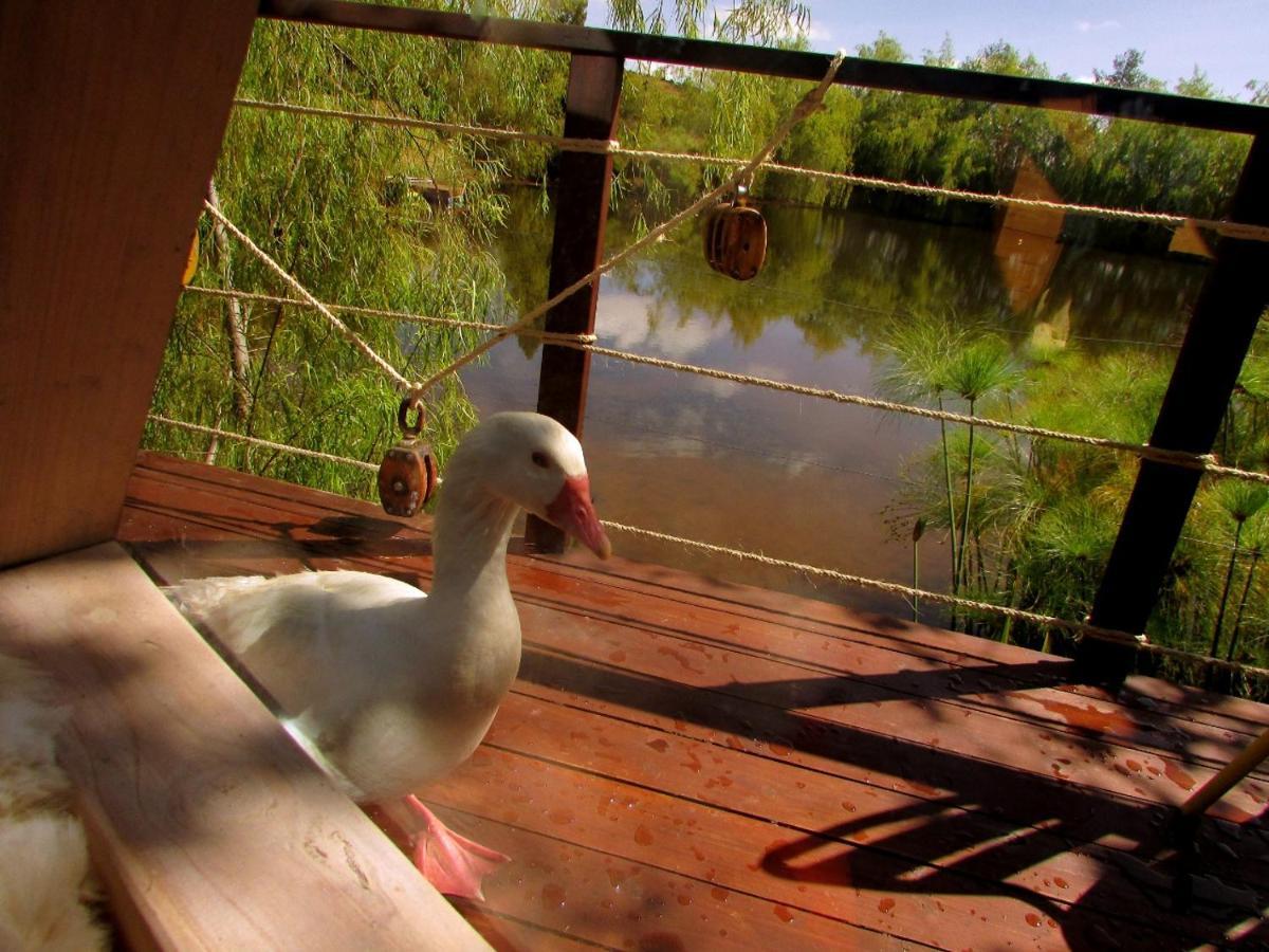 Glamping Cantabria Tunja Luaran gambar